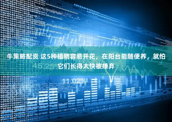 牛策略配资 这5种植物容易开花，在阳台能随便养，就怕它们长得太快被嫌弃